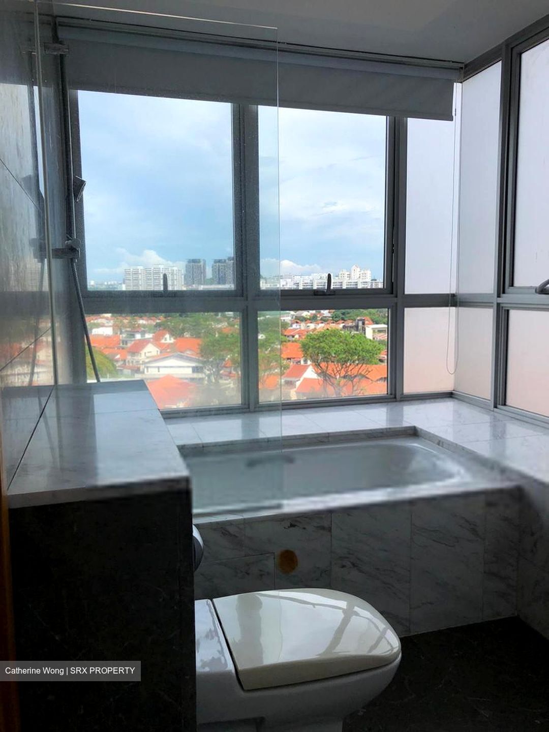 The Parc Condominium (D5), Condominium #420085001